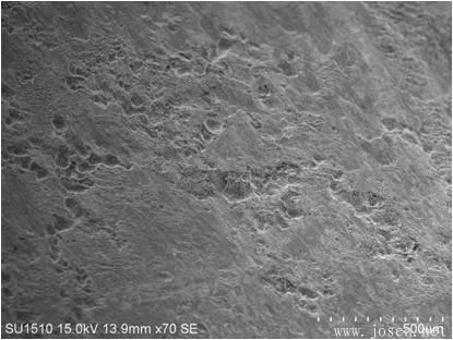 blob:http%3A//m.b2b168 blob:http%3A//m.b2b168