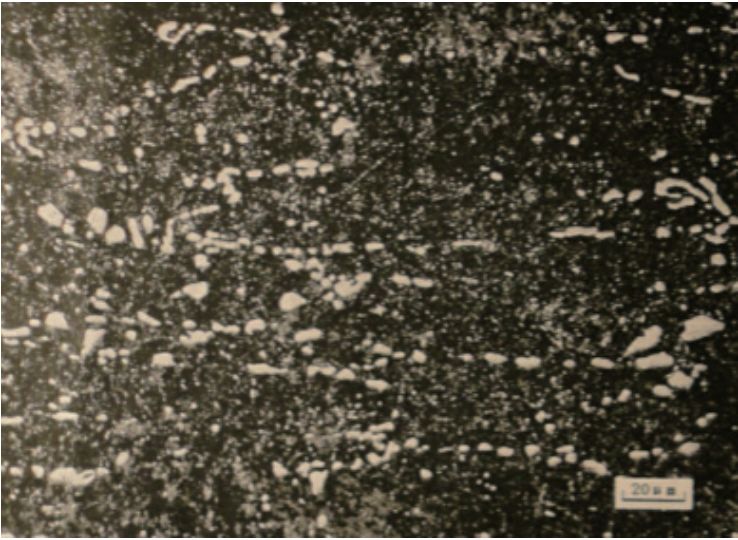 圖3  試樣中基體組織分布（500 ×）