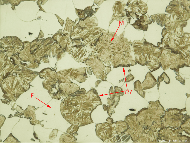 20#鋼臨界區溫度退火后的金相組織問題-4.png 20#鋼臨界區溫度退火后的金相組織問題-4.png