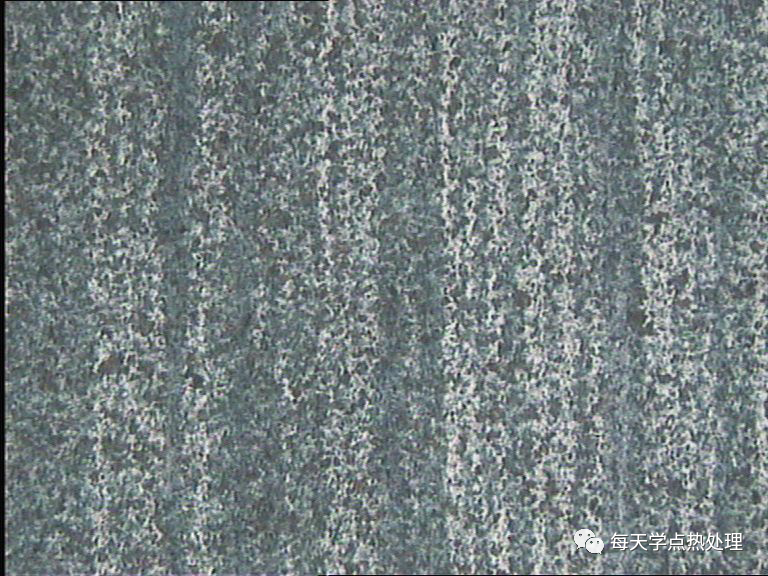 42Cr 回火索氏體和鐵素體(鍛打時(shí)方向形成）(縱向) 100×